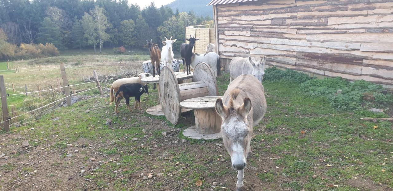 Domaine Des Cigogneaux Ξενοδοχείο Labaroche Εξωτερικό φωτογραφία